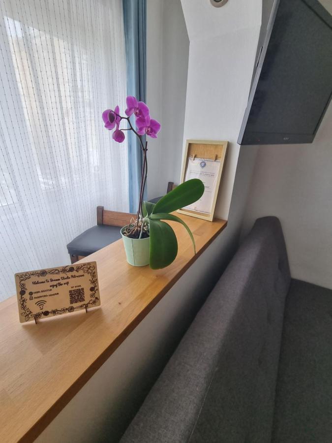 Dream Studio Petrosani Ngoại thất bức ảnh